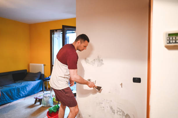 Best Office Mold Removal Services  in Franklin, GA